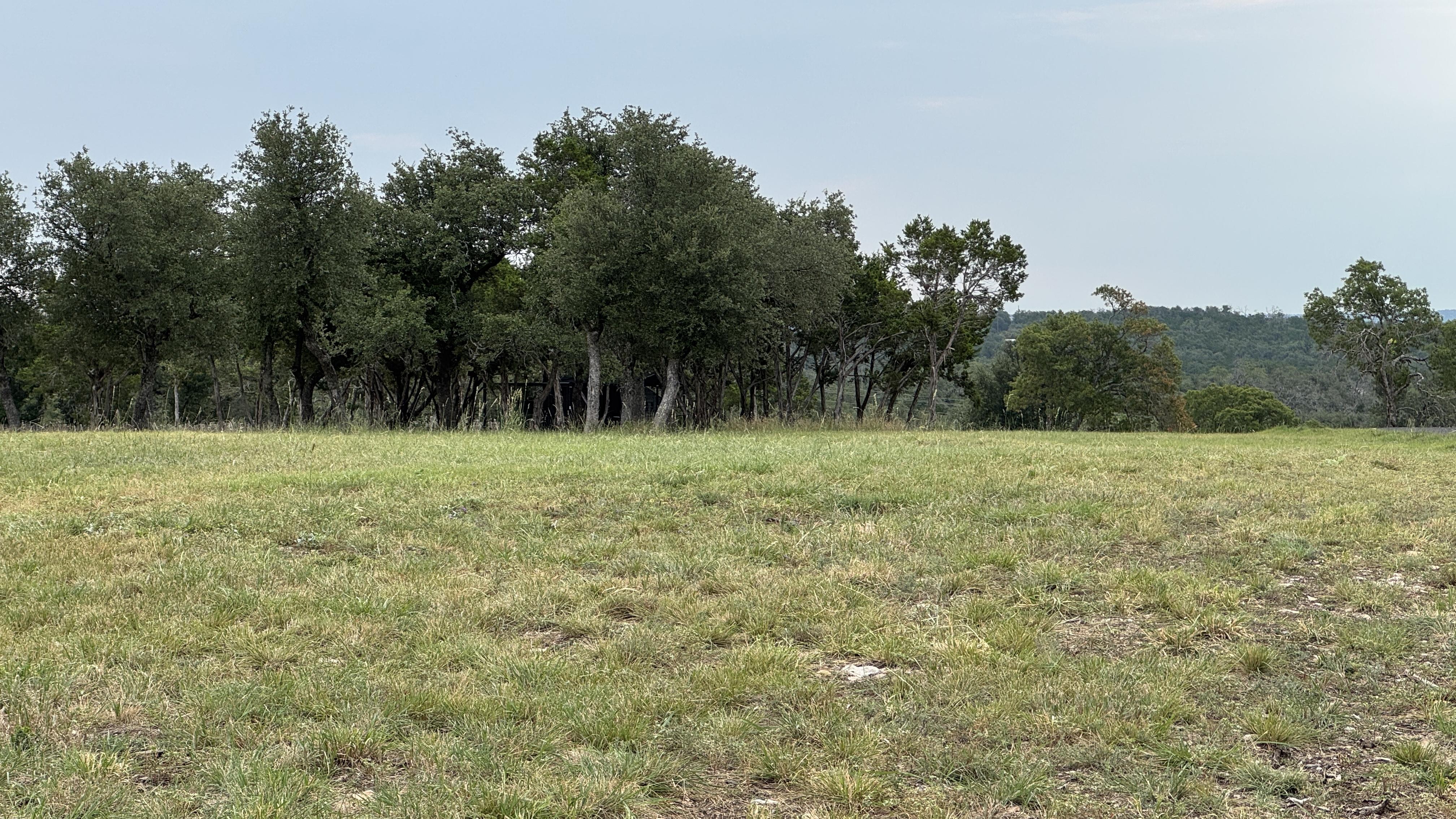 Brian in Texas review photo 2